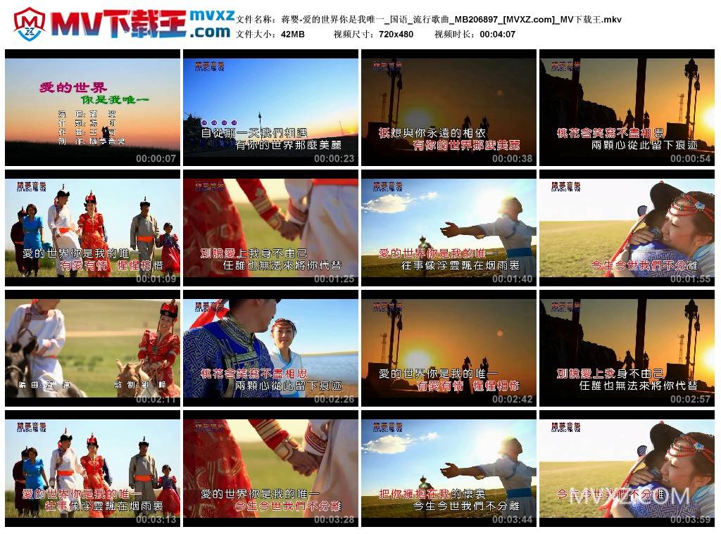 蒋婴-爱的世界你是我唯一_国语_流行歌曲_MB206897